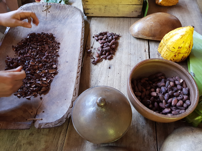 Bribri Medicinal Plants and Chocolate Tour Photo